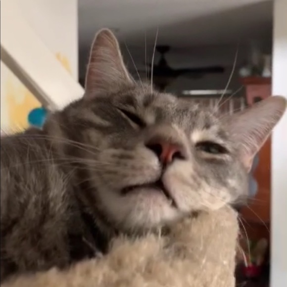 Meet your Posher, Kristen - Picture 7 of 13